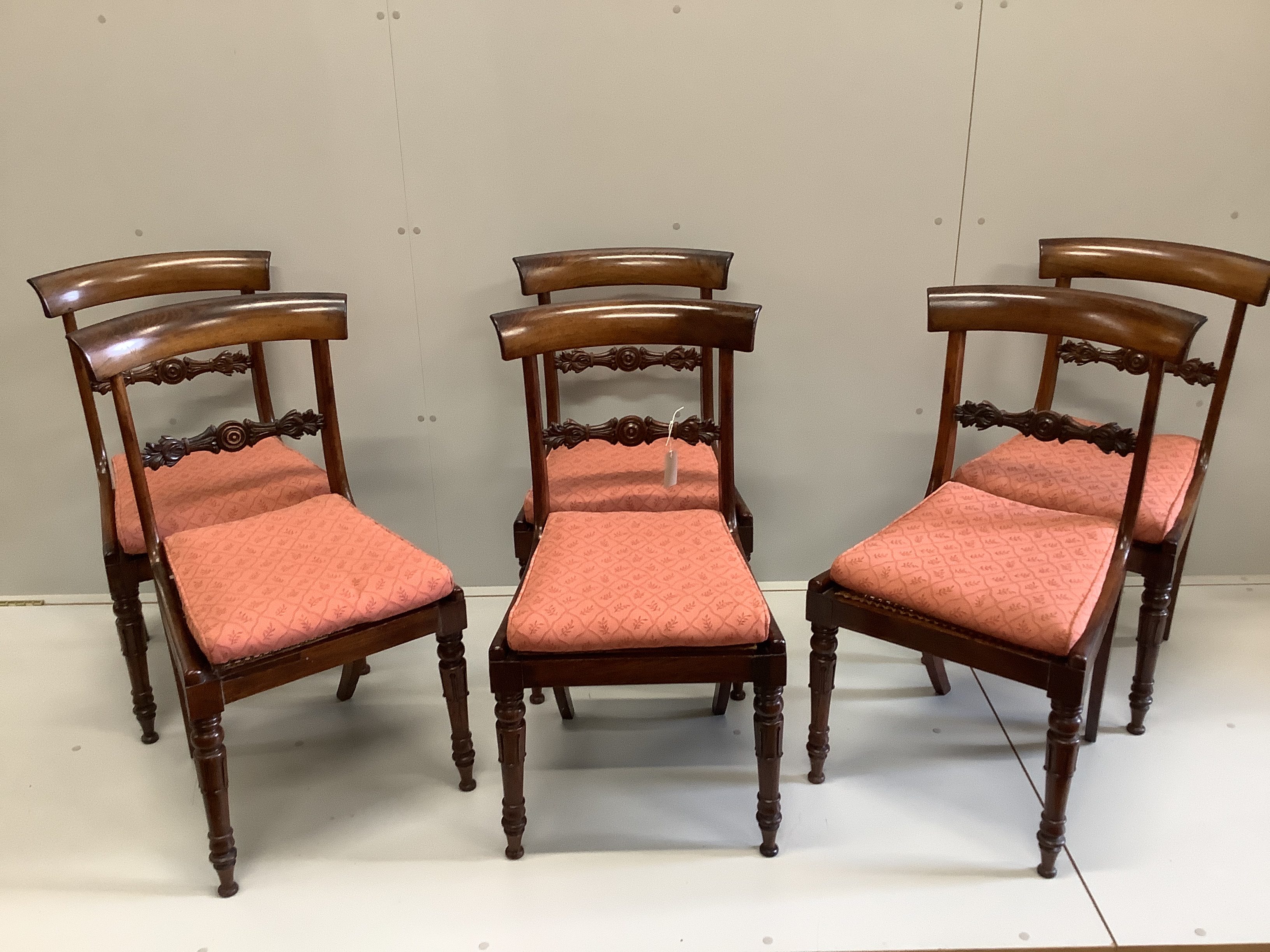 A set of six William IV rosewood cane seat dining chairs, with squab cushion seats, width 44cm, height 87cm